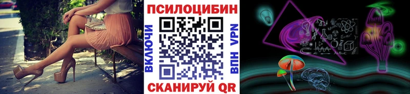 ОМГ ОМГ онион  Павлово  Псилоцибиновые грибы Magic Shrooms  купить закладку 